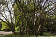 parque do ibirapuera oscar niemeyer