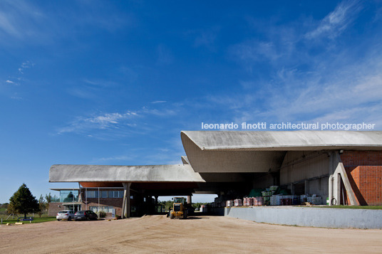 massaro agribusiness eladio dieste