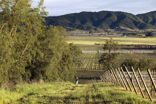 morandé winery martin hurtado