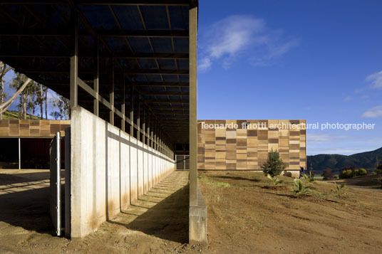 morandé winery martin hurtado