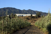 administrator´s house at fundo izaro