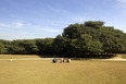 parque da juventude aflalo & gasperini