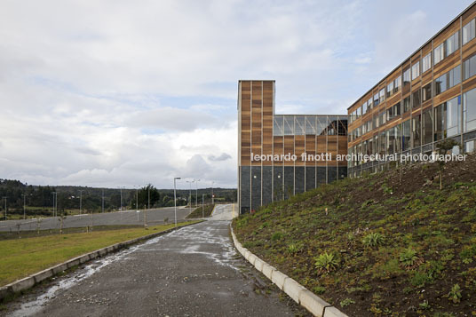 escuela san francisco javier martin hurtado