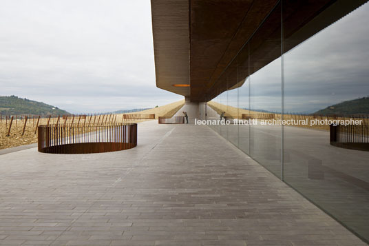 cantina antinori archea