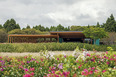 casa gcp - fazenda boa vista bernardes arquitetura