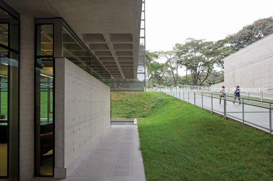 biblioteca brasiliana usp rodrigo mindlin loeb