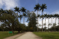 parque da cidade roberto burle marx burle marx