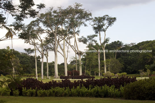 parque da cidade roberto burle marx burle marx