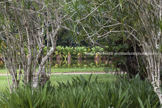 parque da cidade roberto burle marx burle marx