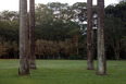 parque da cidade roberto burle marx burle marx