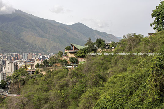 club táchira fruto vivas