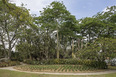 parque del este burle marx