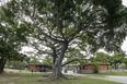 parque del este burle marx