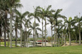 parque del este burle marx