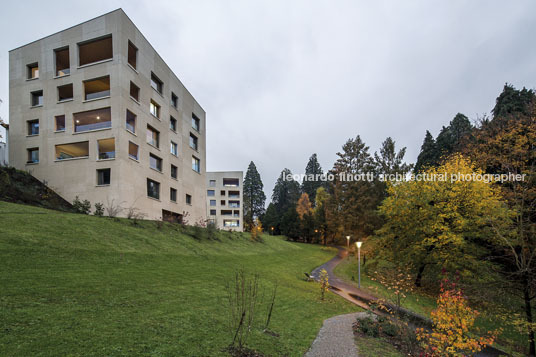 housing at wettsteinpark masswerk architekten