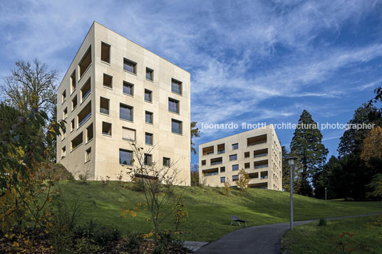 housing at wettsteinpark masswerk architekten