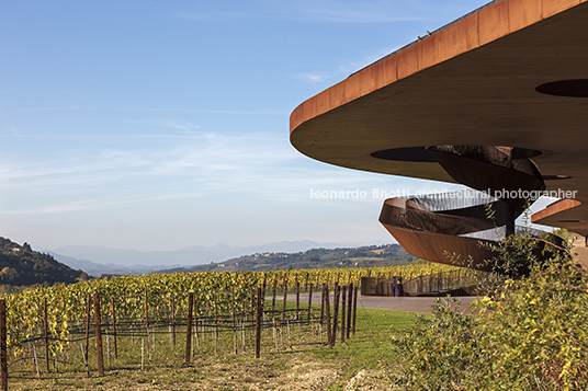 cantina antinori archea