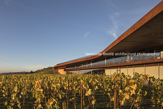 cantina antinori archea