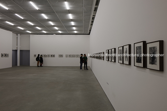 galeria casa triângulo metro arquitetos