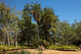 termas do barreiro burle marx