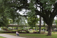 parque do ibirapuera oscar niemeyer