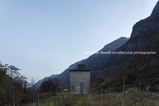 la congiunta peter märkli