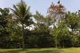 casa ab isay weinfeld