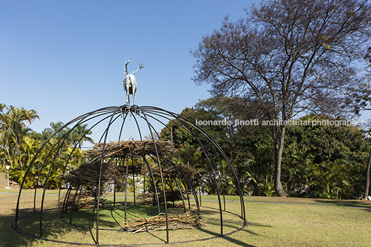 casa na pampulha zanine caldas 