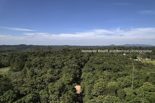 são paulo periphery anonymous