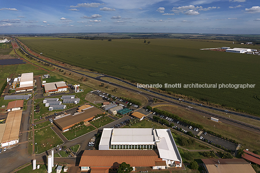 syngenta agrícola oliveira cotta