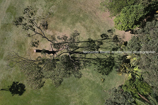 giuseppe penone: elevazione - inhotim GIUSEPPE PENONE