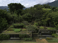 fazenda vargem grande burle marx