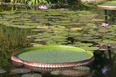 fazenda vargem grande burle marx