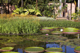 fazenda vargem grande burle marx