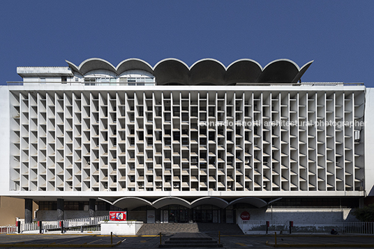 telgua pelayo llarena