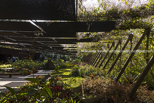 galeria yayoi kusama - inhotim mach arquitetos