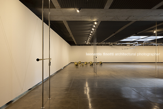 fluxos at mube laura vinci