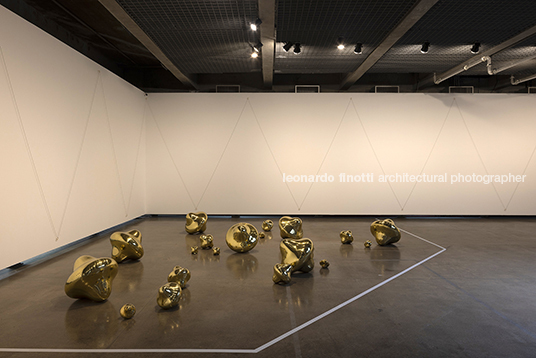 fluxos at mube laura vinci