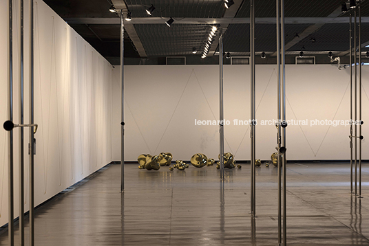 fluxos at mube laura vinci