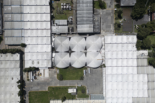 planta bacardí ludwig mies van der rohe