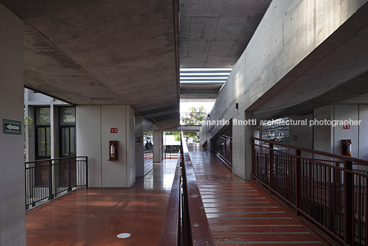 escuela continente miguel montor