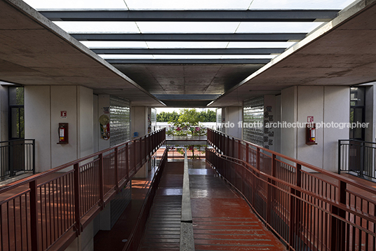 escuela continente miguel montor