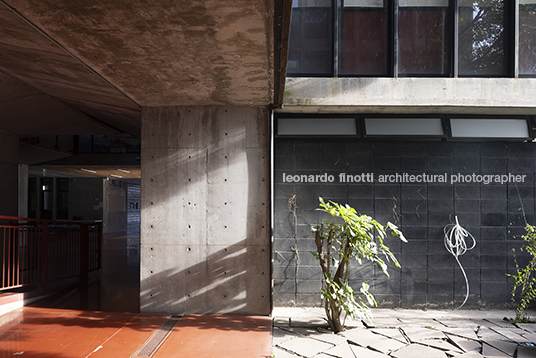 escuela continente miguel montor