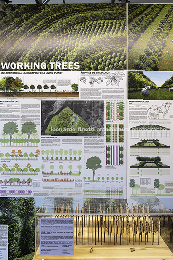 xiv bienal de arquitetura de são paulo - oca re:arc institute